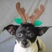 Reindeer ears for dog or cat for christmas