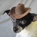 Indiana Jones hat for dog or cat