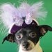 Hat with butterfly for dog or cat