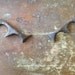wooden antlers / hand carved