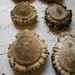 Elk Antler Burrs aka Rosettes for Carving- Lot of 2 pieces