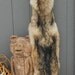 RESERVED for Carly Gutzmann Wolf Lifesize Skin- Soft Tanned- Taxidermy Quality SALE- 25 Percent off
