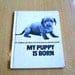 My Puppy Is Born - Vintage Book