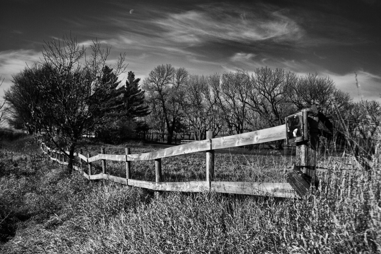 Black and White Photography Landscape Nature Country
