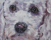 Poodle art portrait CANVAS print of LA Shepard painting 12x12 Poodle art portrait CANVAS print of LA Shepard painting 12x12
