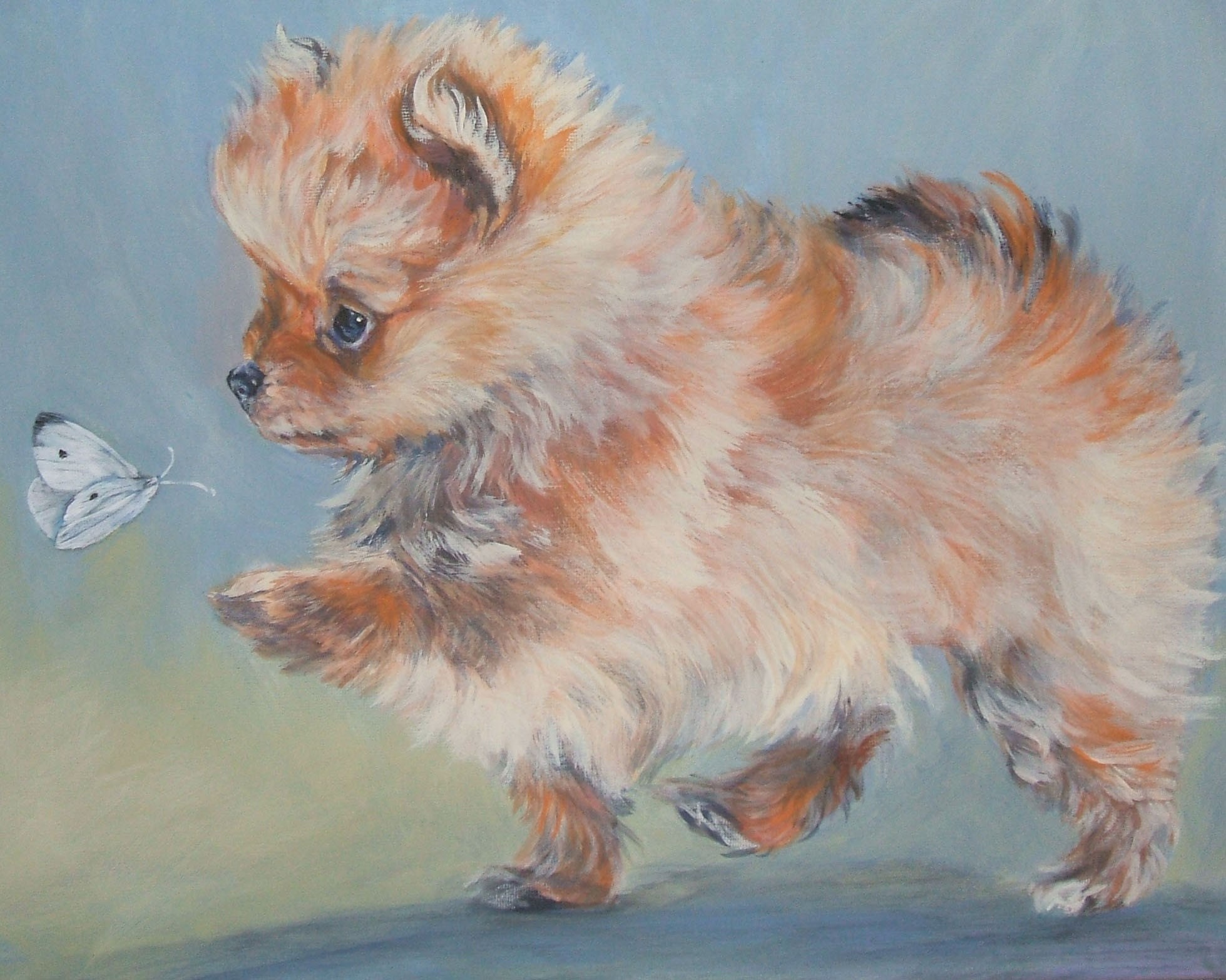 pomeranian-dog-art-canvas-print-of-la-shepard-painting-8x10