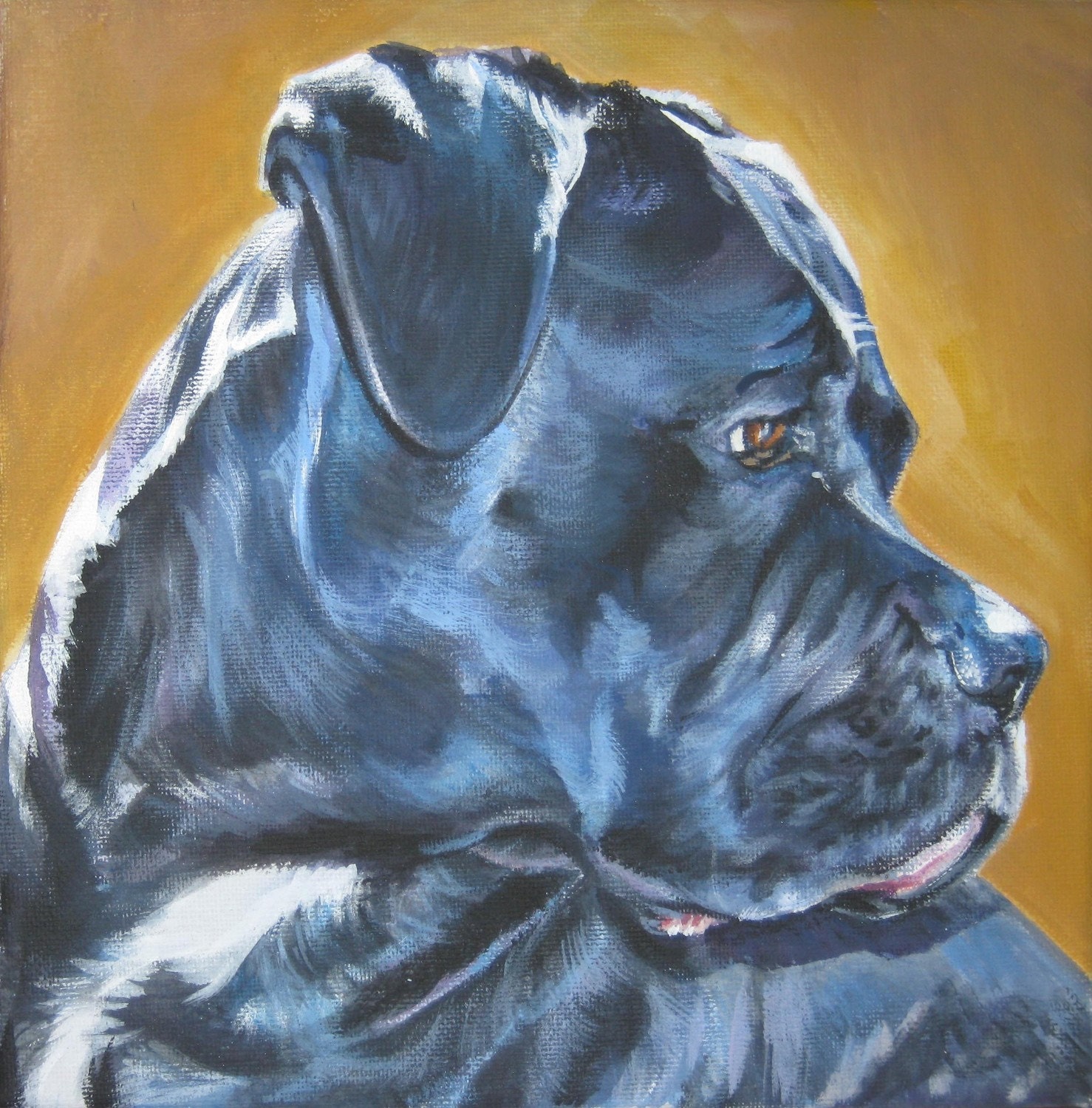 CANE CORSO dog art portrait canvas PRINT of LAShepard painting