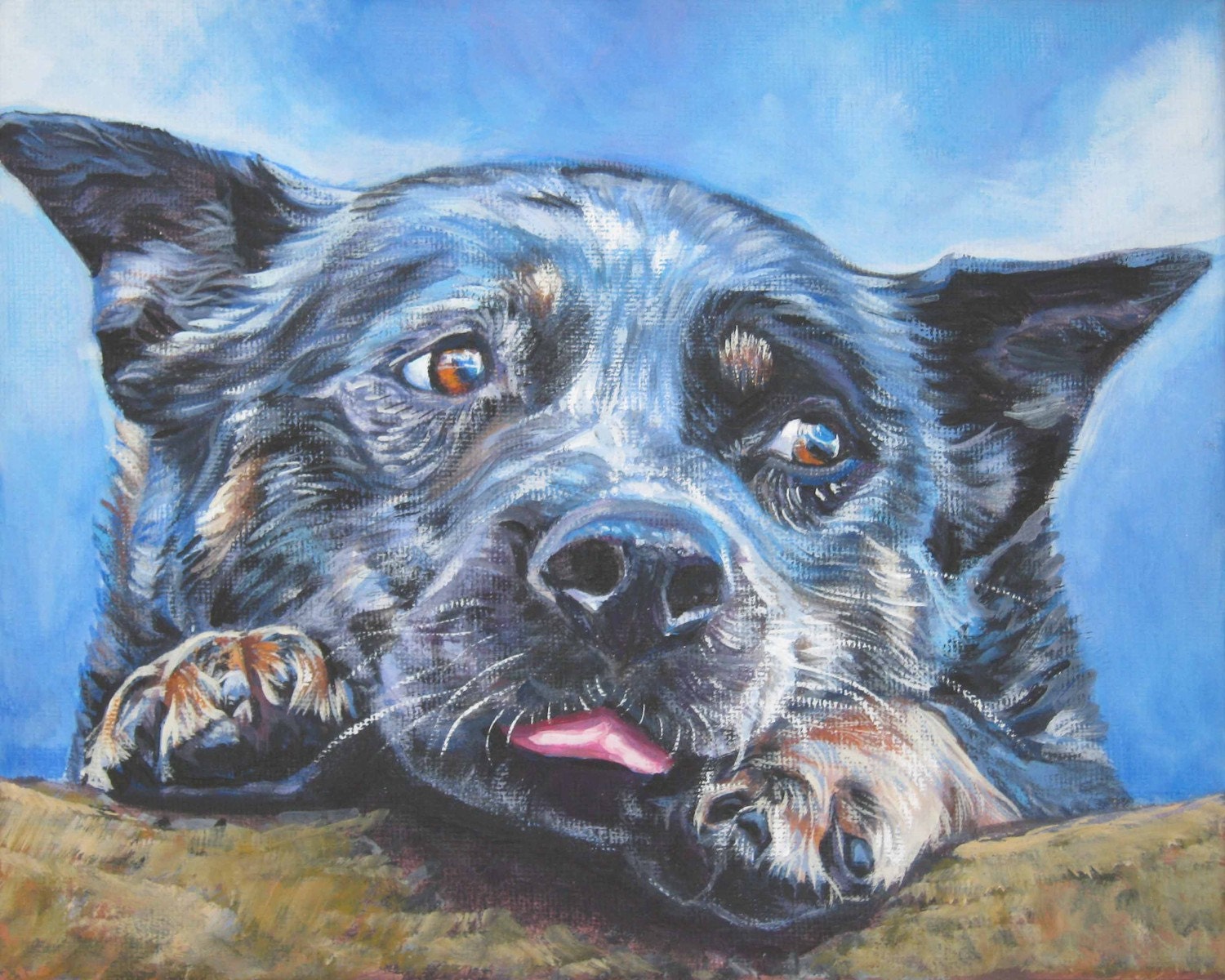 AUSTRALIAN CATTLE DOG portrait art Blue Heeler canvas print of