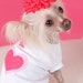 Small Heart Dog Tank Shirt Clothes by Doogie Couture Featured in Model Life Magazine