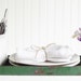 Vintage Rusty Metal Tray