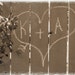 Persoanlized Photograph Wedding Couples Names Written On The Garden Fence