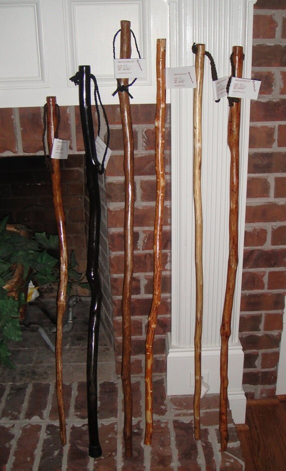 Items similar to Crooked Man's Solid Tulip Poplar Walking Sticks 49, 47