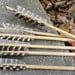 Rivercane Arrows