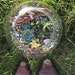 Lost in the Desert Succulent Terrarium Large Orb
