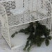 Vintage metal TOMS chippy white counter rack