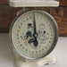 Vintage 1940s 1950s Baby Nursery Scale Jay By Jacobs Brothers Company