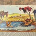 Vintage Ace Reid Cowpokes Western Vacation Humor Cartoon Postcard Unused