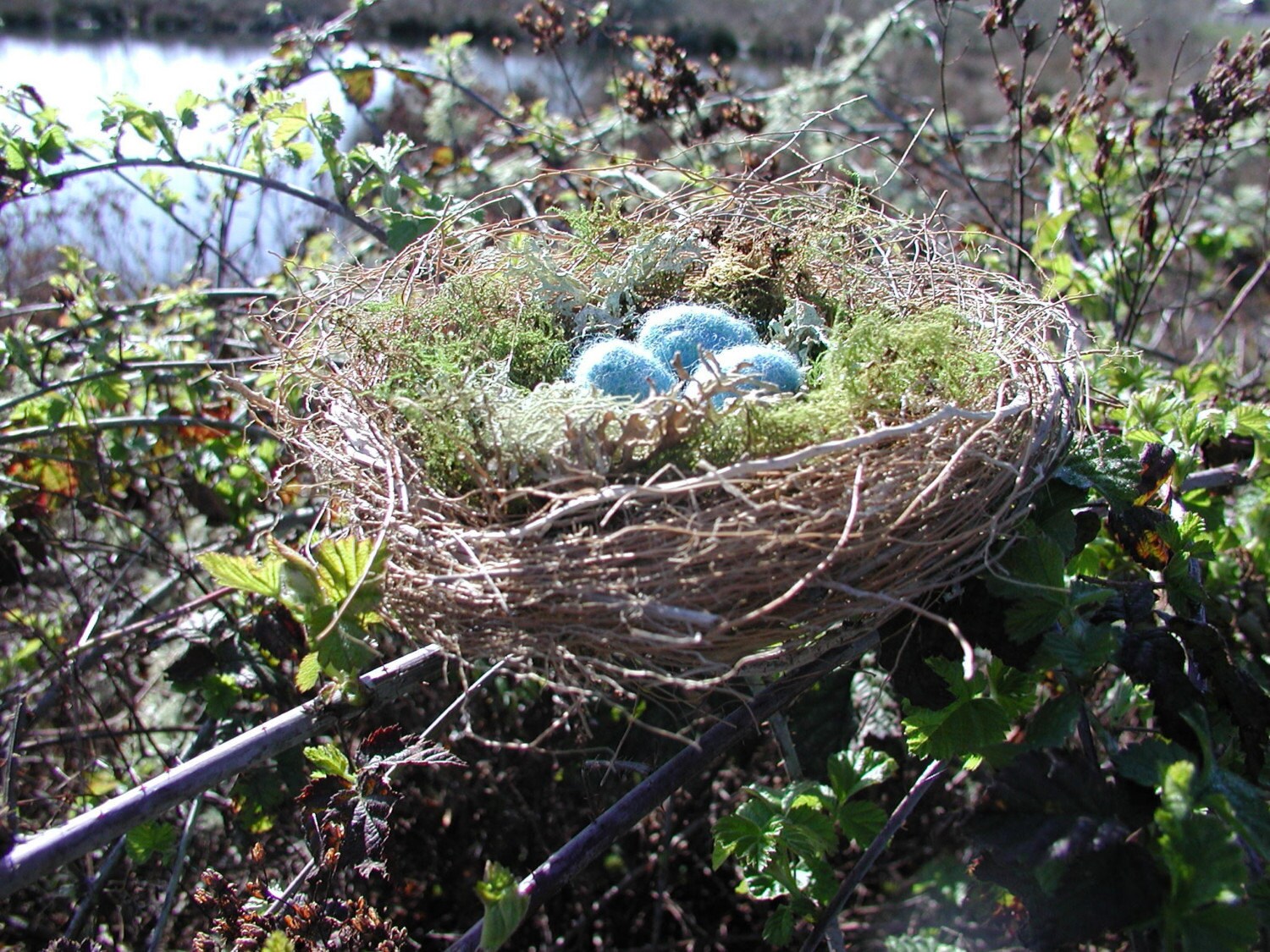 Handmade Birds Nest With Felted Wool Eggs by mountainhearth