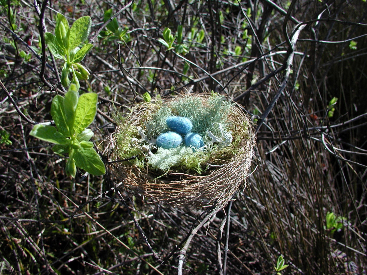 Handmade Birds Nest With Felted Wool Eggs