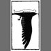 Dream: original hand-pulled woodcut, wood block print, a dream bird flight through night.