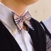 Paul McCall Bow Tie (burberry and black)