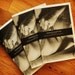 CLEARANCE - NUDIEZINE issue no. 3