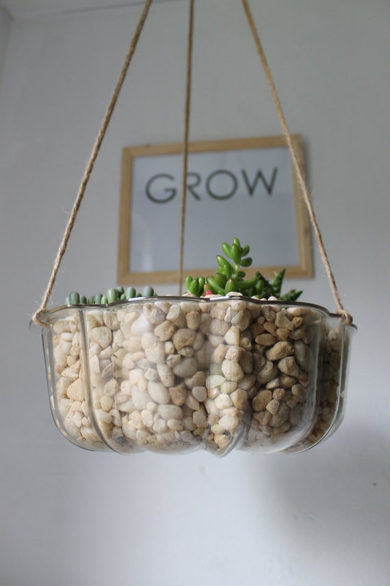 UpCycled Bundt Cake Pan Planter Crystal Clear Industrial