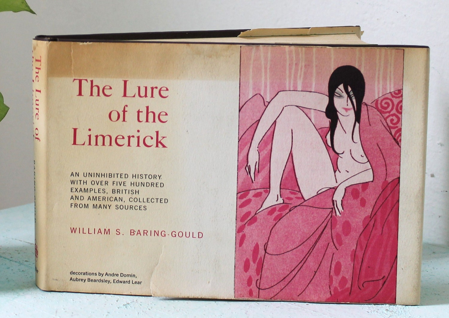 The Lure Of The Limerick An Uninhibited History With Over
