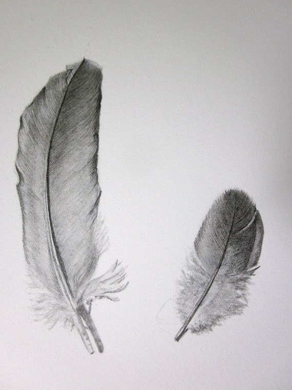 3 feathers original pencil drawing 