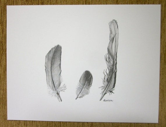 3 feathers original pencil drawing