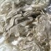 Reserve Alpaca unwashed, White, and brown
locks, Doll Hair