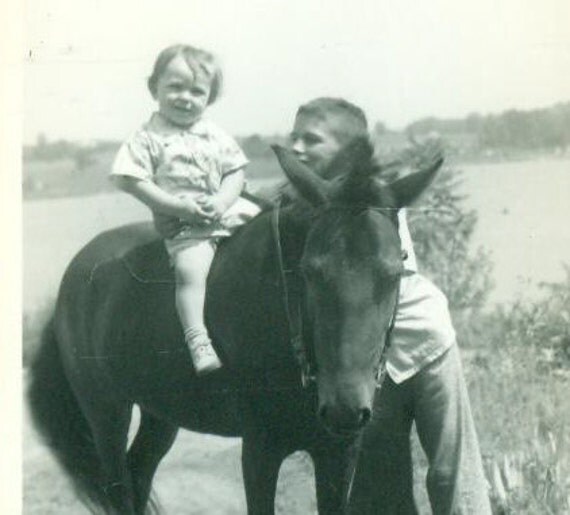 Baby Riding A Horse Pony Farm Boys Brothers Summer Fun Photo
