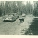 It's A BEAR 1950s Black Bear Cars Walking Man Photo Yellowstone Family Vacation Road Woods Forest Photograph