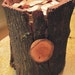 Tree Stump Wedding Card Envelope Box - Card holder