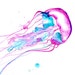 Watercolor study of a jellyfish, No. 2 by Jessica Durrant