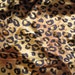 Lycra gold leopard print shiny slinky 60 wide last yard