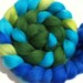 Wool Roving - PERRIER QUEEN Superwash Merino