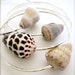 Cone shell sterling silver bracelets - Pick your shell
