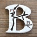 Broken China Art - Mosaic - Owl on the B - Letter B Plaque - Monogram - Letter - Initial - Personalized