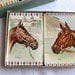 Vintage Arrco Playing Cards - Race Horse Double Deck for Repurpose