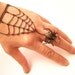 Gothic Steampunk BLACK SPIDER RING with Webbing bracelet , Halloween