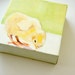 Spring Chicks Original Oil Paintings set of four