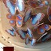 20 precut RAINBOW butterflies decoration - FREE SHIPPING - Assorted set 20 wedding cake toppers - Food Accessories by Uniqdots on Etsy