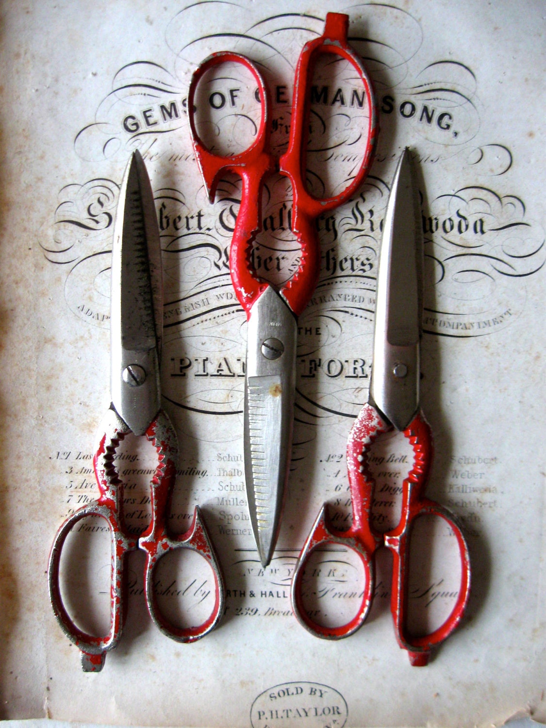 Instant Collection of 3 Pair of Vintage Scissors