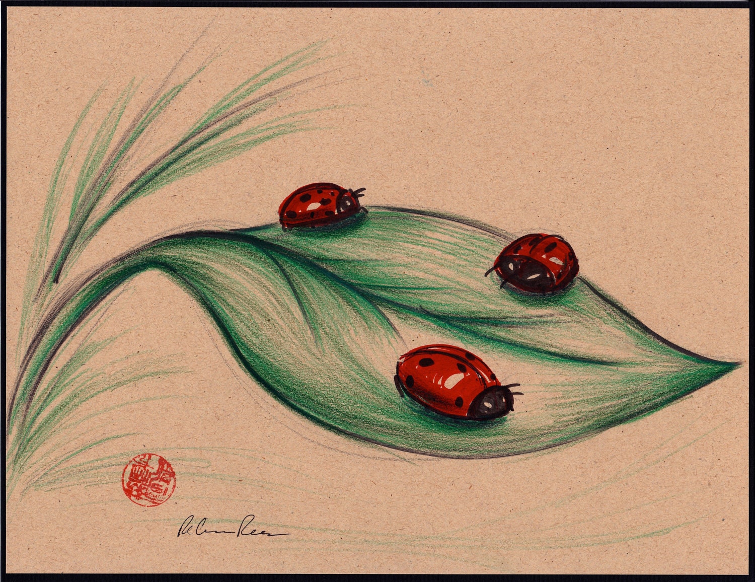 using pencil drawing colors LADIES RED prisma pencil ladybug drawing Original