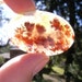 Carey Plume Agate Cabochon Beautiful Rare Gem Polished
