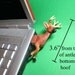 Deer Buck USB Flash Drive