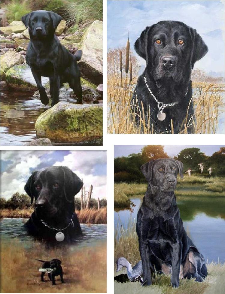 Lot Of 12 Black Lab Dog Fabric Panel Quilt Square Blocks