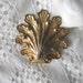 Classic gold shell brooch