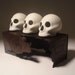 White Skulls And Box Set